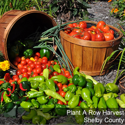 Plant A Row Harvest Selby County