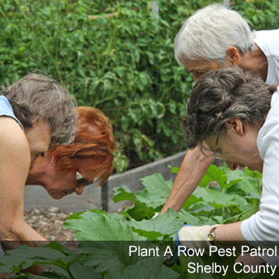 Plant A Row Pest Patrol Shelby County